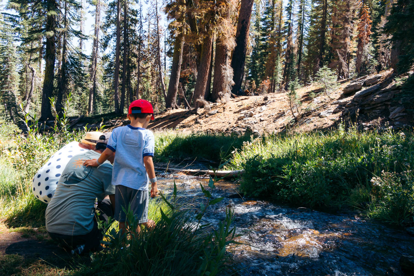 Hike   Kings Creek Falls Trail - Roads and Destinations.