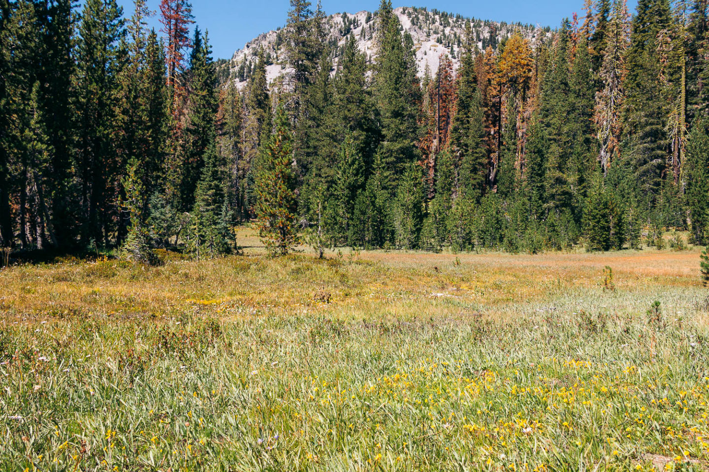 Lassen Volcanic National Park- Roads and Destinations.