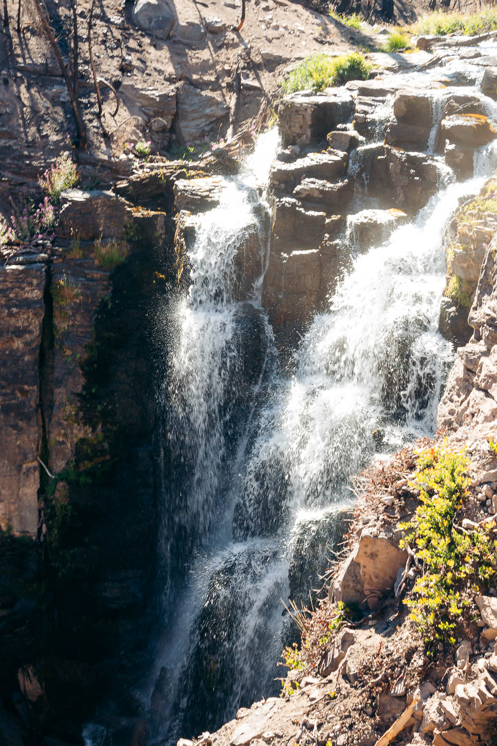 Hike   Kings Creek Falls Trail - Roads and Destinations.