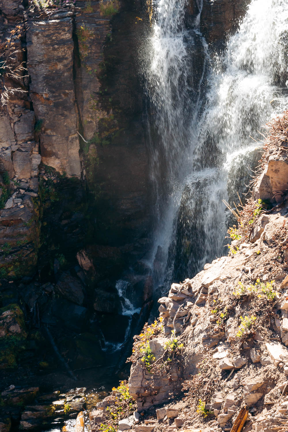 Hike   Kings Creek Falls Trail - Roads and Destinations.