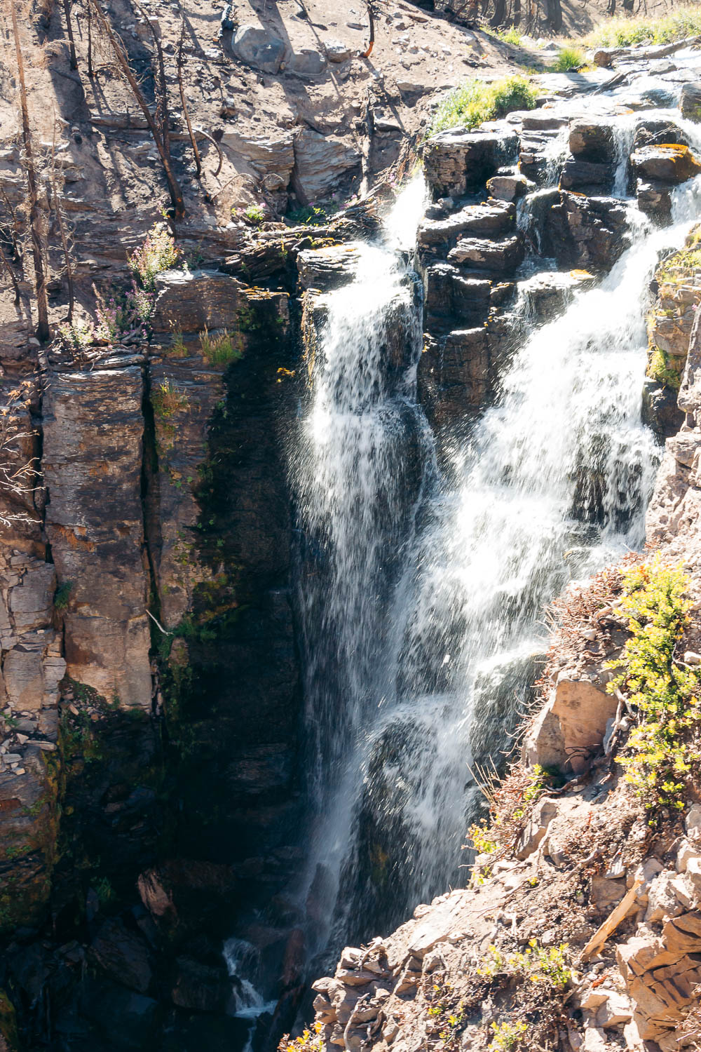 Hike   Kings Creek Falls Trail - Roads and Destinations.