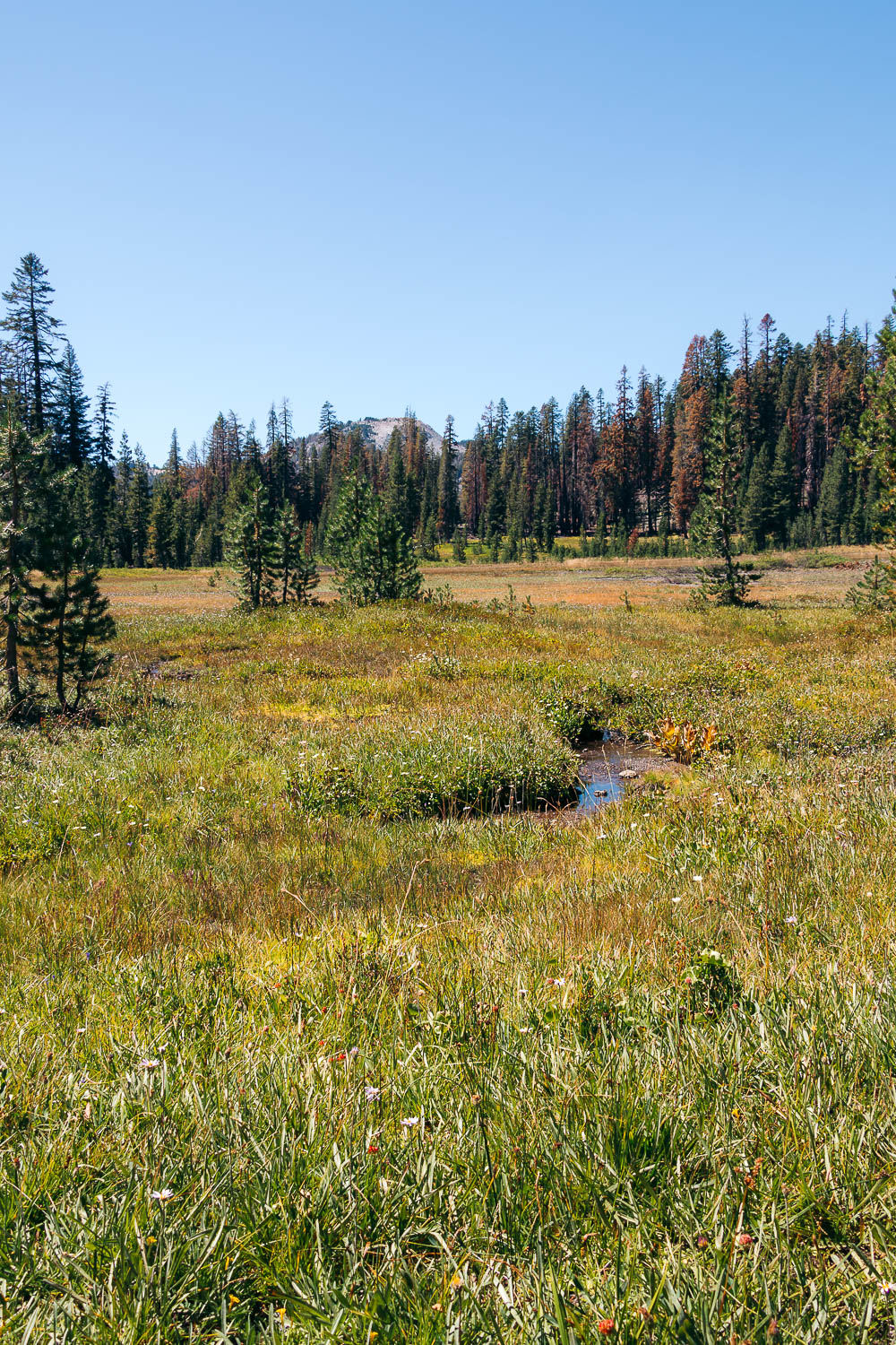 Lassen Volcanic National Park- Roads and Destinations.