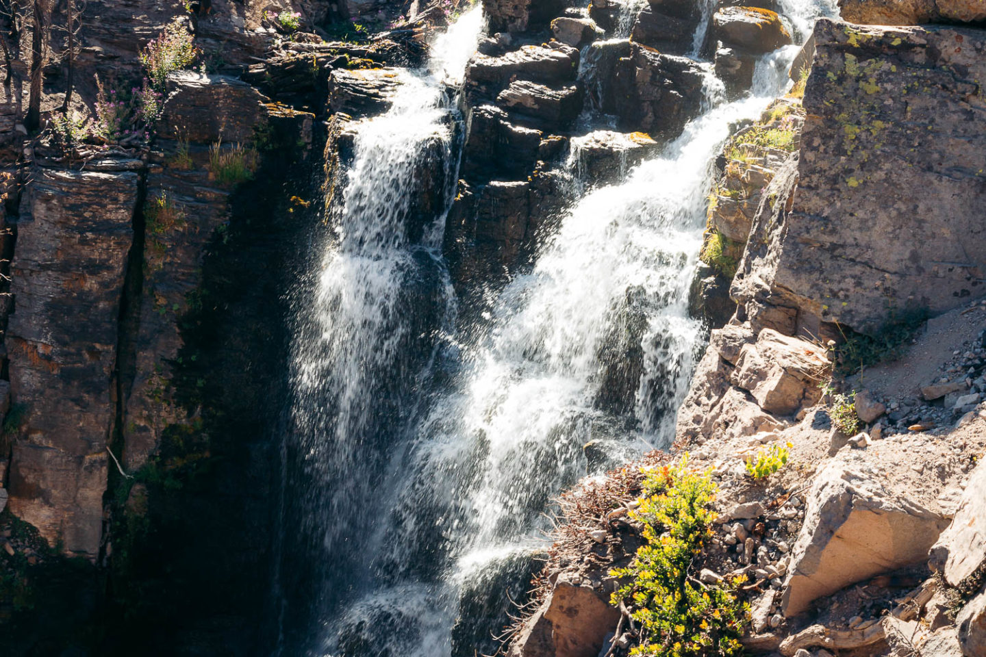 Hike   Kings Creek Falls Trail - Roads and Destinations.