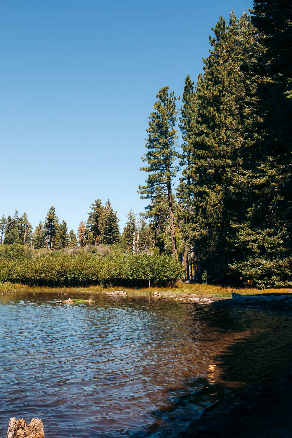 Manzanita Lake - Roads and Destinations