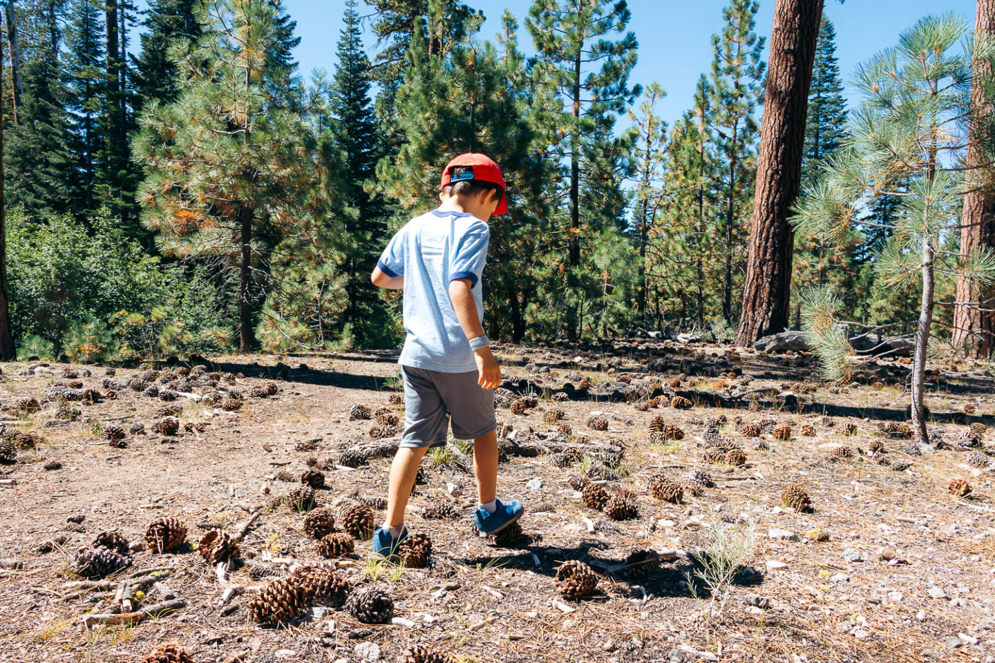 Lassen Volcanic National Park - Roads and Destinations