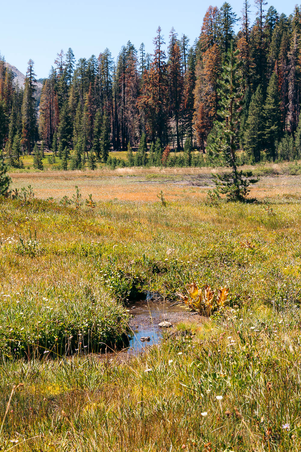 Lassen Volcanic National Park - Roads and Destinations