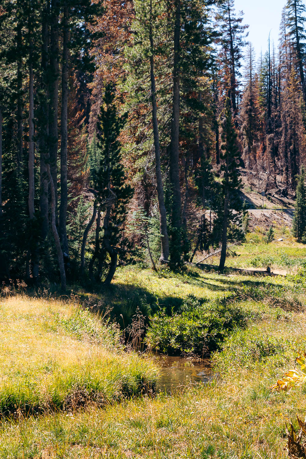 Lassen Volcanic National Park - Roads and Destinations