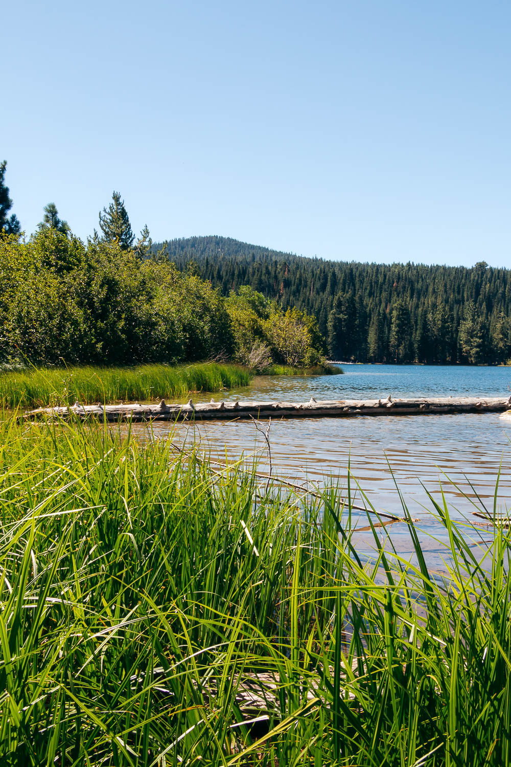 Manzanita Lake - Roads and Destinations