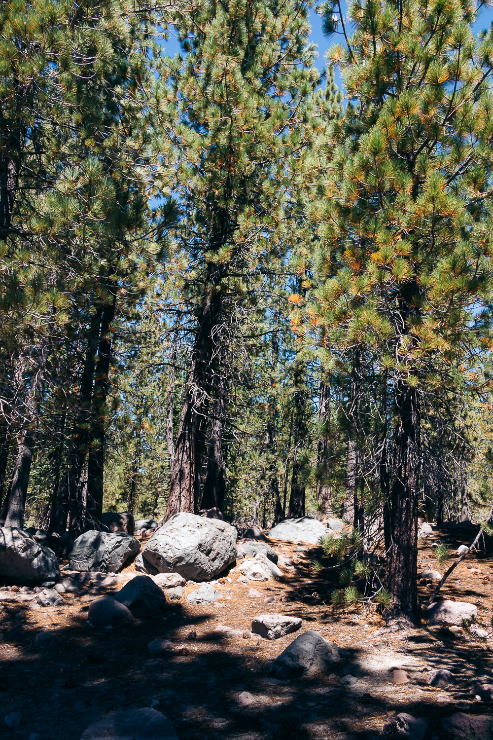 Lassen Volcanic National Park - Roads and Destinations