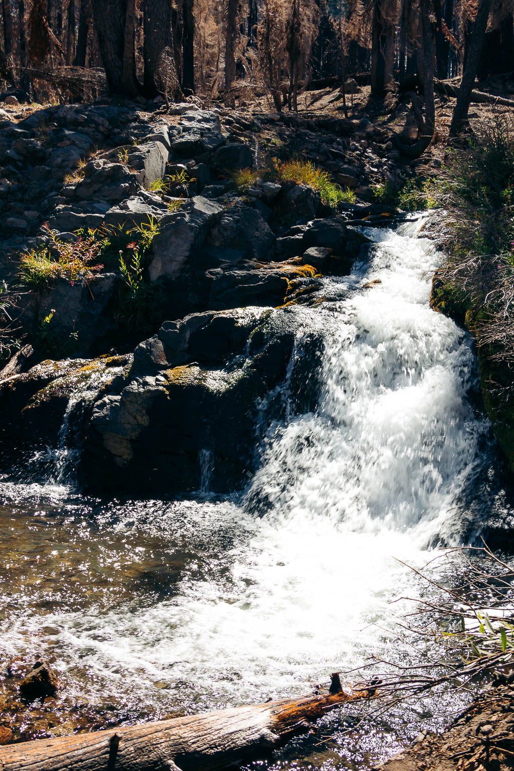 Kings Creek Falls - Roads and Destinations