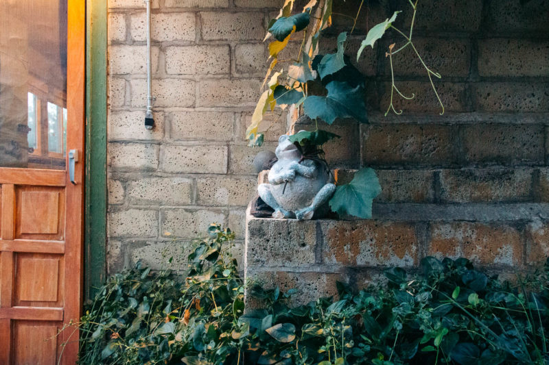 Inside Rustic Mott’s Cottage in Fall River Mills, California Roads