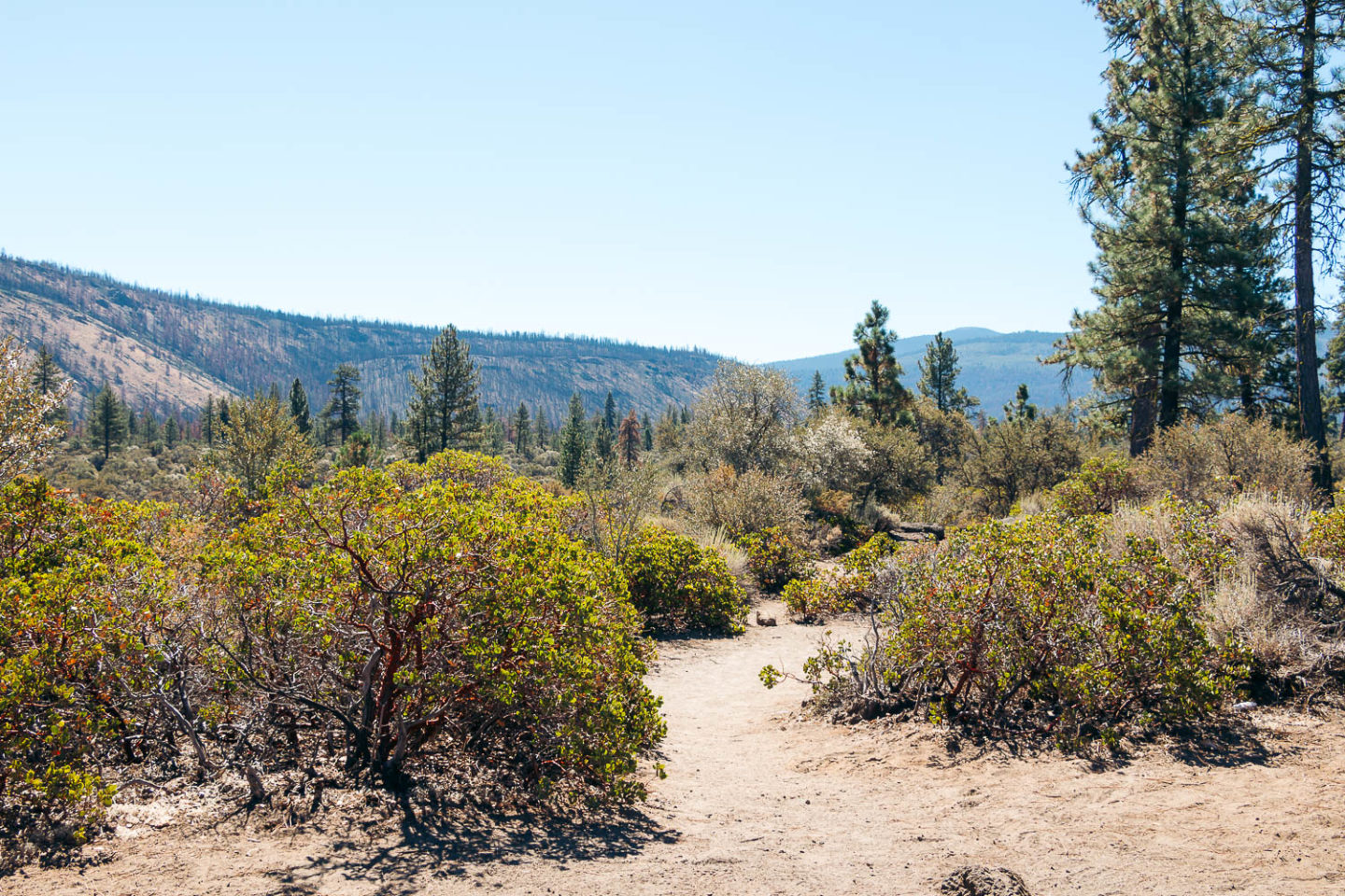 Visit Subway Cave, Northern California - Roads and Destinations