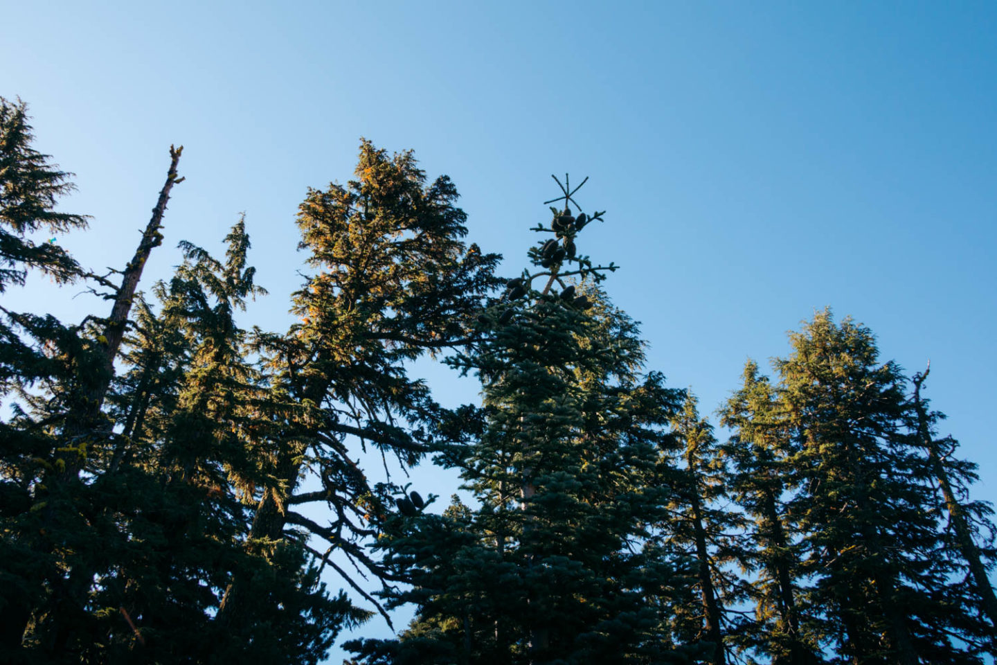 Crater Lake National Park - Roads and Destinations