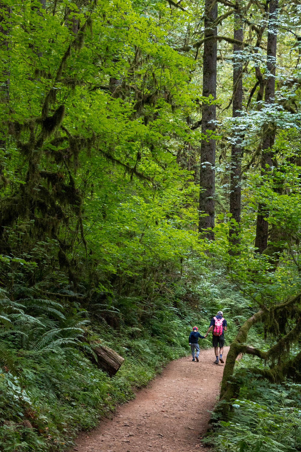 Trail of Ten Falls in Silver Falls State Park, Oregon - Roads and Destinations