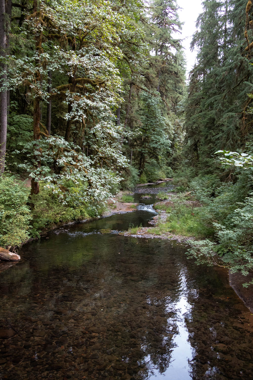 Trail of Ten Falls in Silver Falls State Park, Oregon - Roads and Destinations