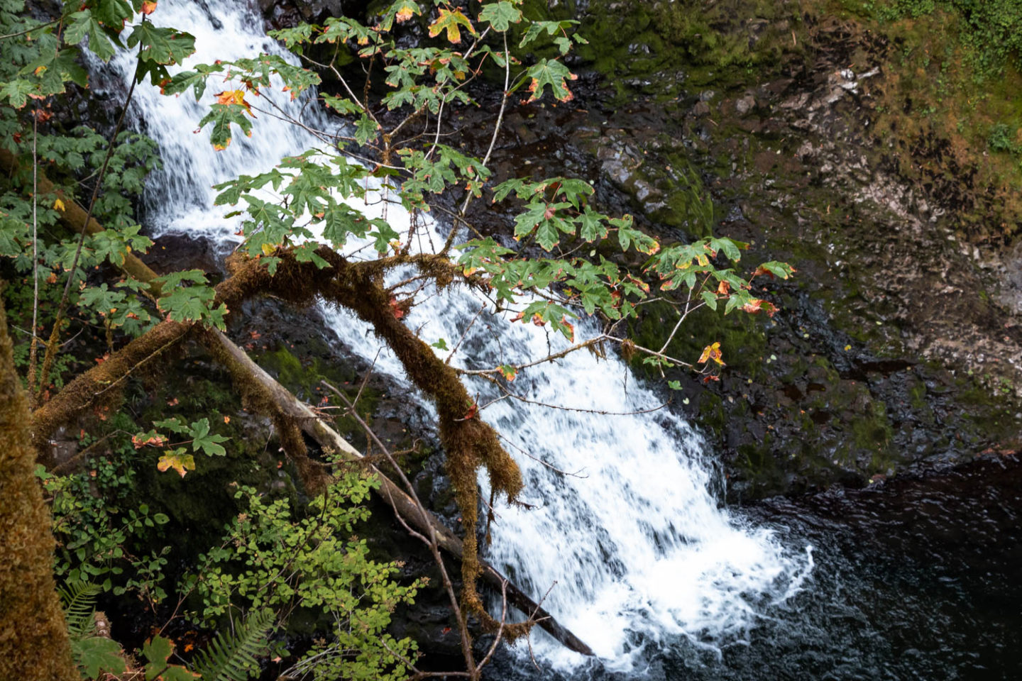 Waterfalls in Oregon - Roads and Destinations