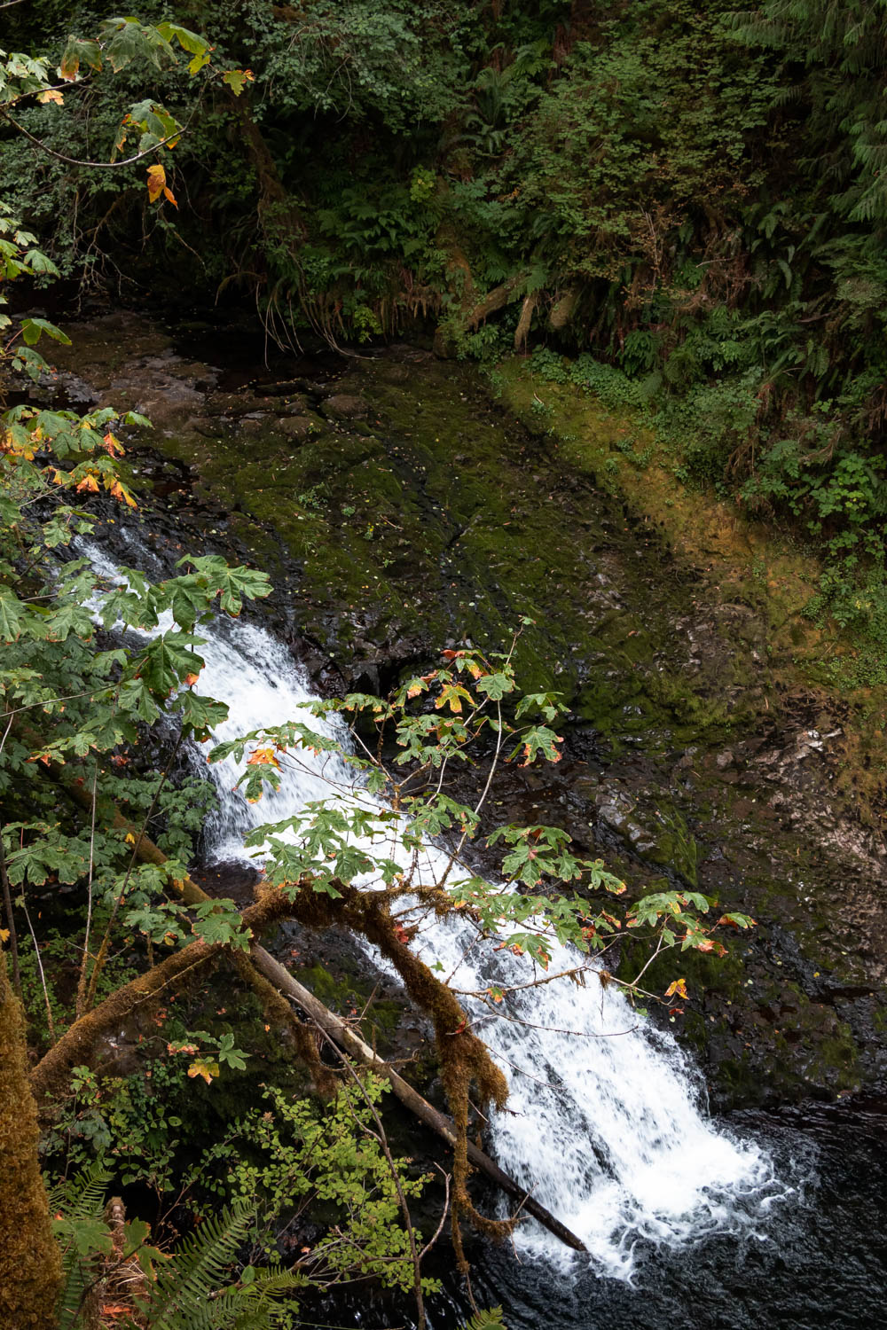 Trail of Ten Falls in Silver Falls State Park, Oregon - Roads and Destinations