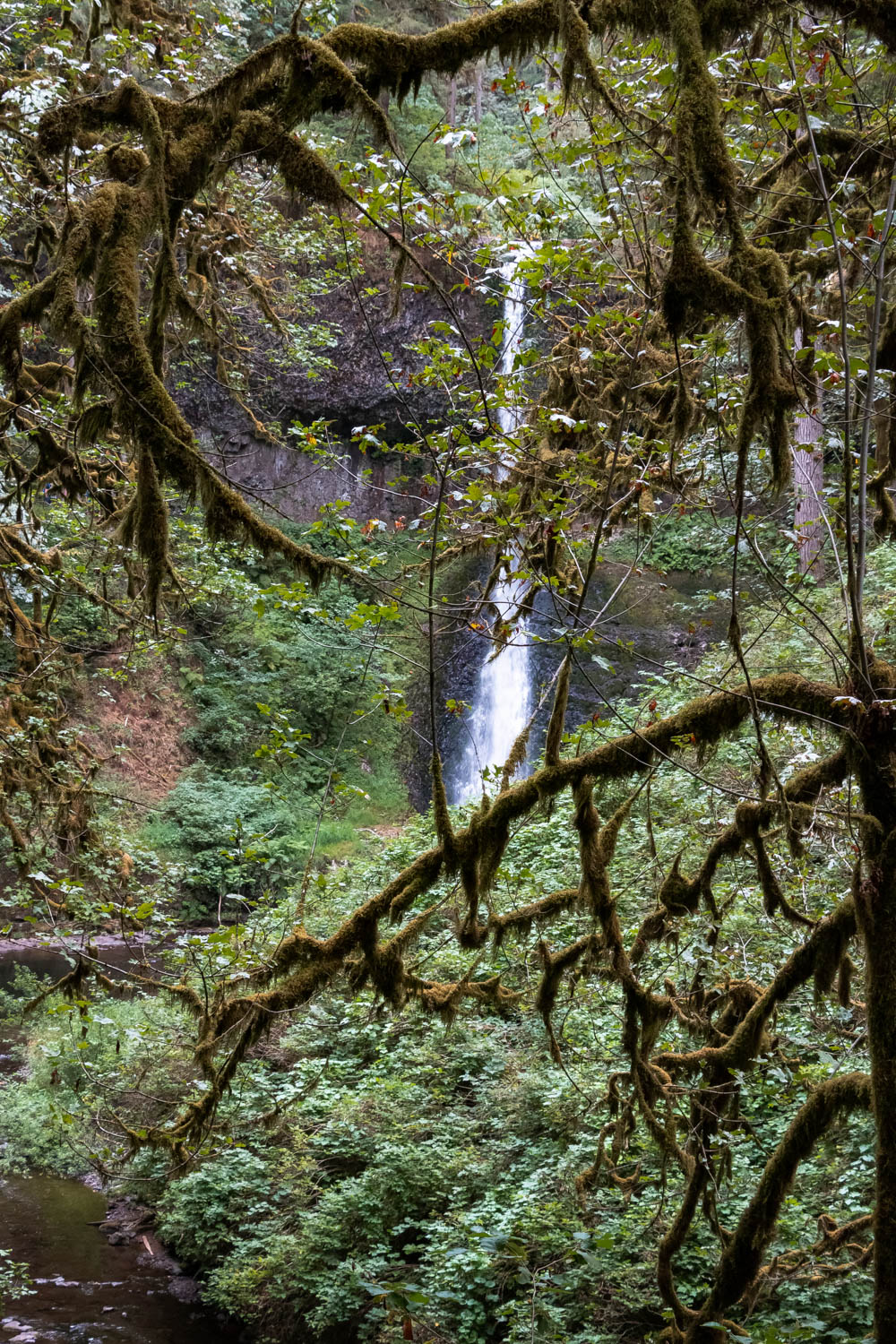 Trail of Ten Falls in Silver Falls State Park, Oregon - Roads and Destinations