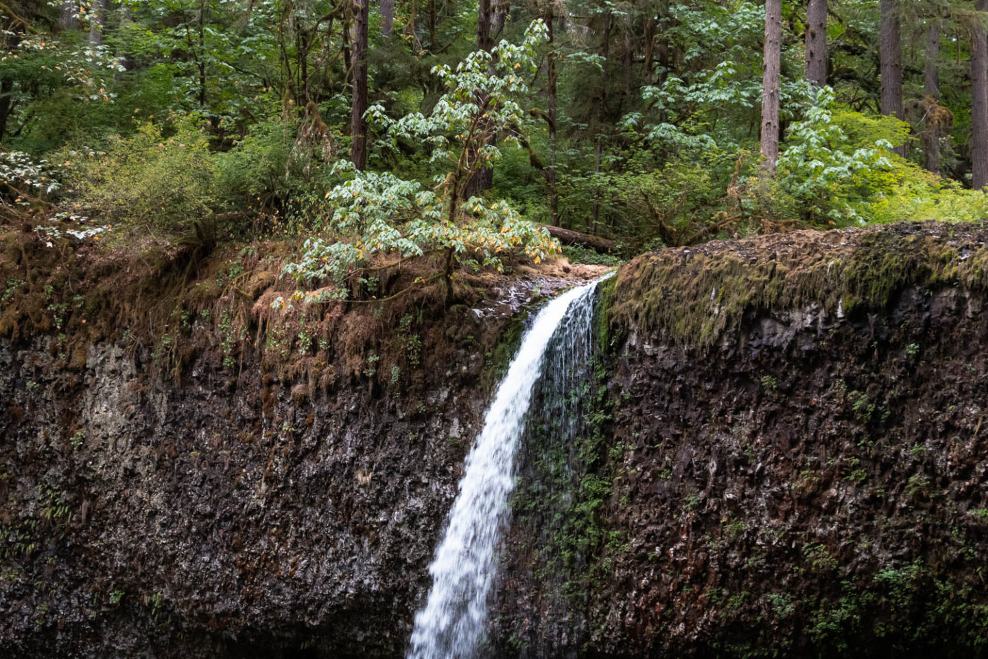 Oregon - Roads and Destinations