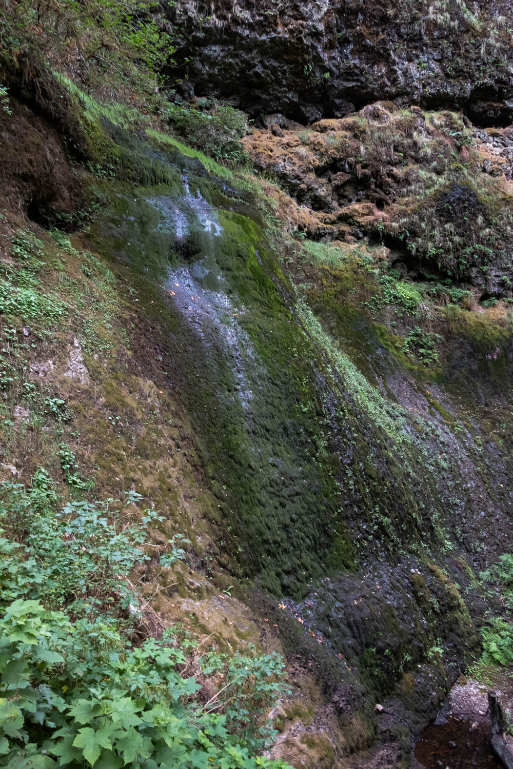 Trail of Ten Falls in Silver Falls State Park, Oregon - Roads and Destinations