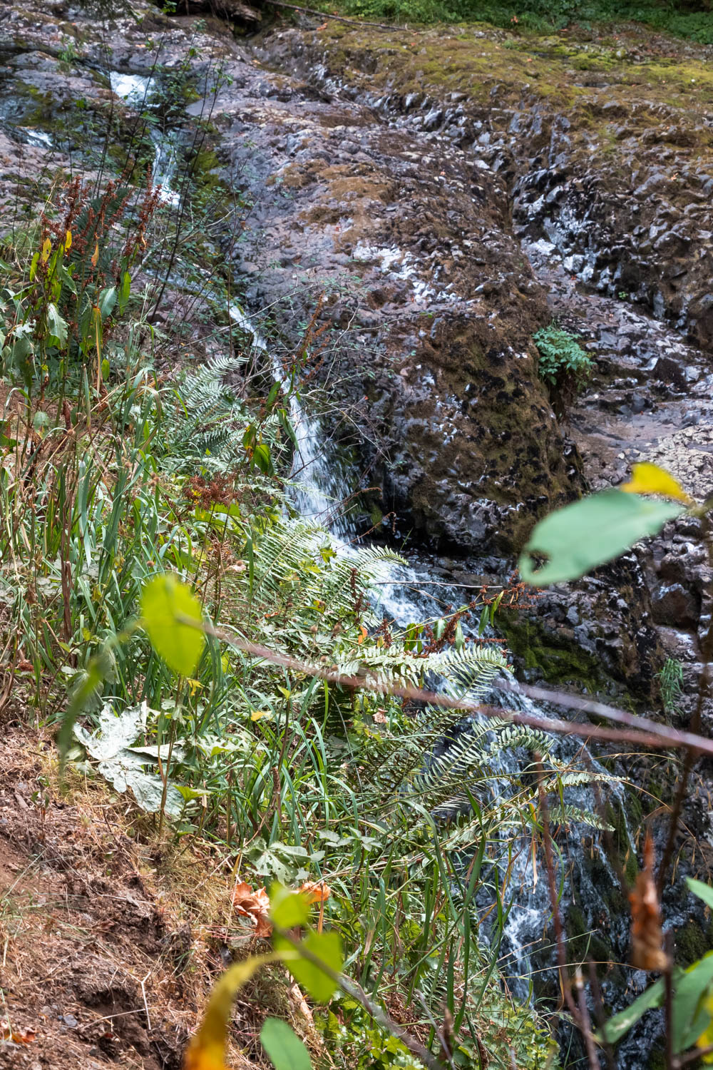 Trail of Ten Falls in Silver Falls State Park, Oregon - Roads and Destinations