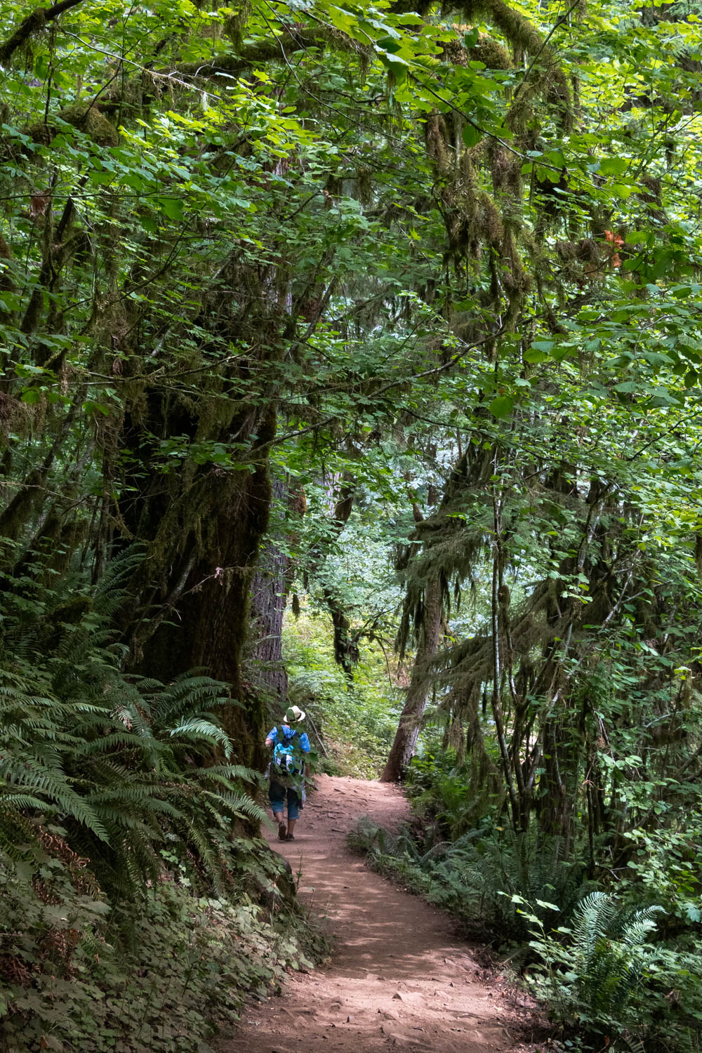 Trail of Ten Falls in Silver Falls State Park, Oregon - Roads and Destinations