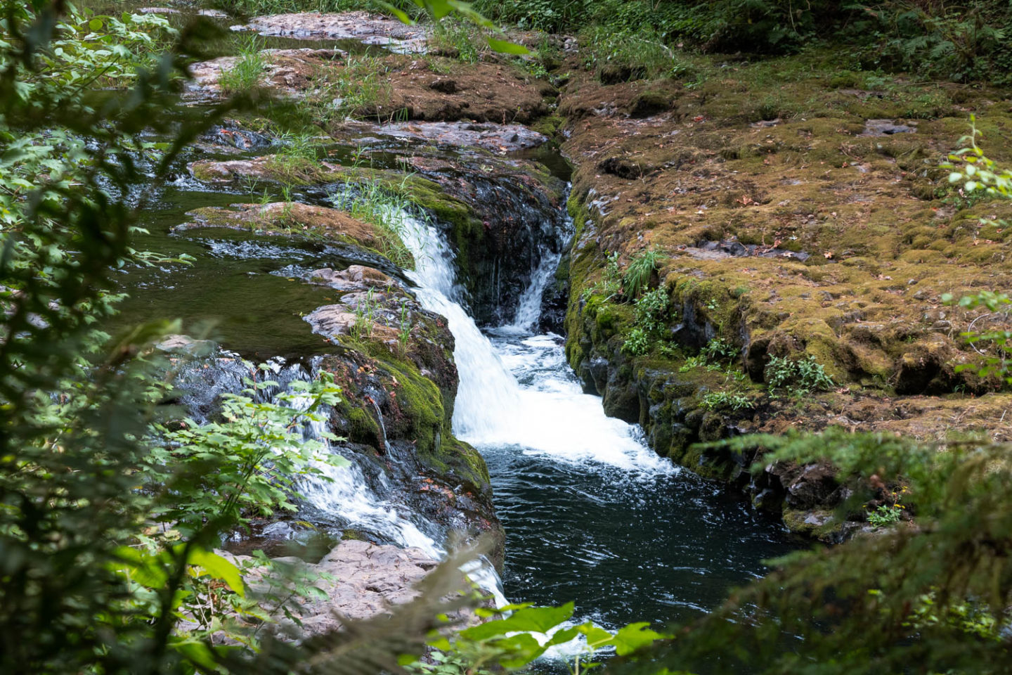 Oregon - Roads and Destinations