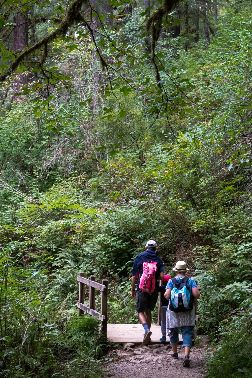 Trail of Ten Falls in Silver Falls State Park, Oregon - Roads and Destinations