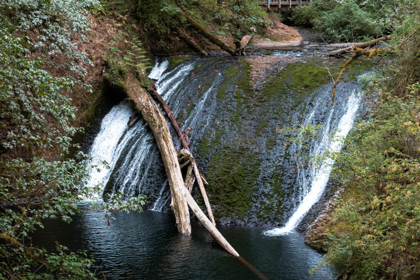 Trail of Ten Falls in Silver Falls State Park, Oregon - Roads and Destinations