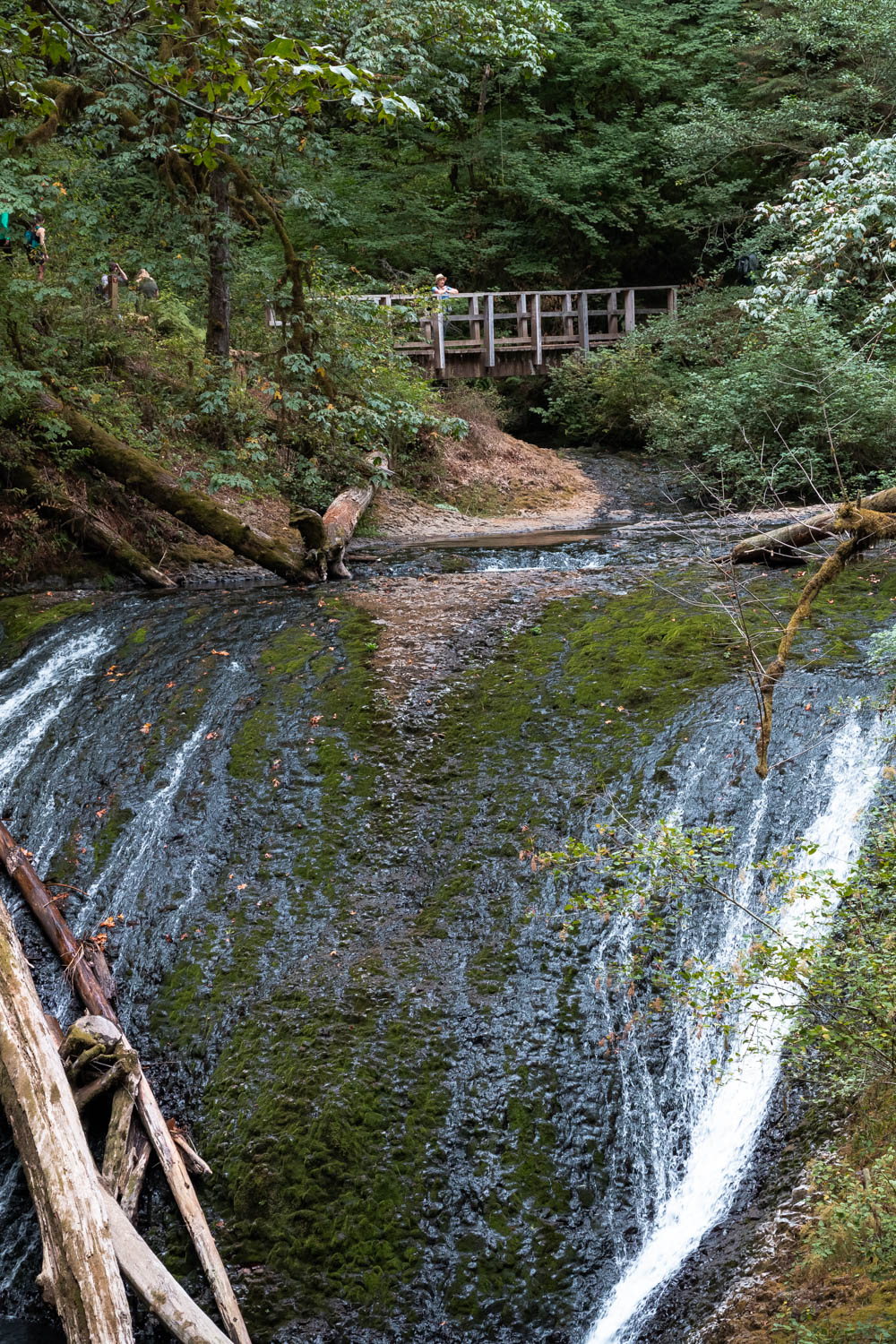 Trail of Ten Falls in Silver Falls State Park, Oregon - Roads and Destinations