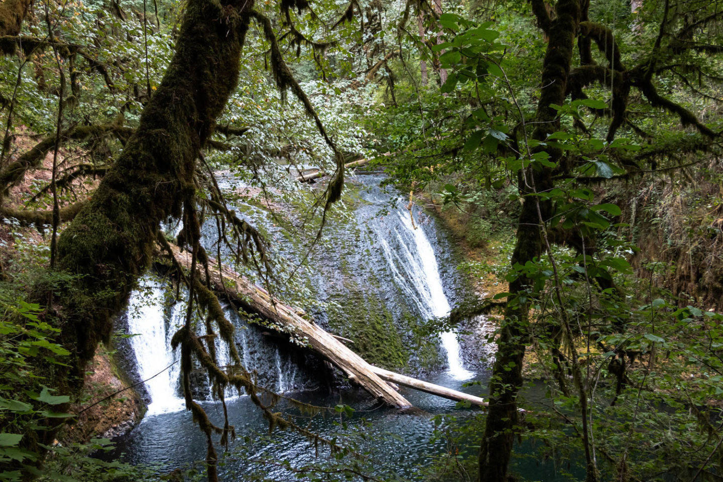 Trail of Ten Falls in Silver Falls State Park, Oregon - Roads and Destinations