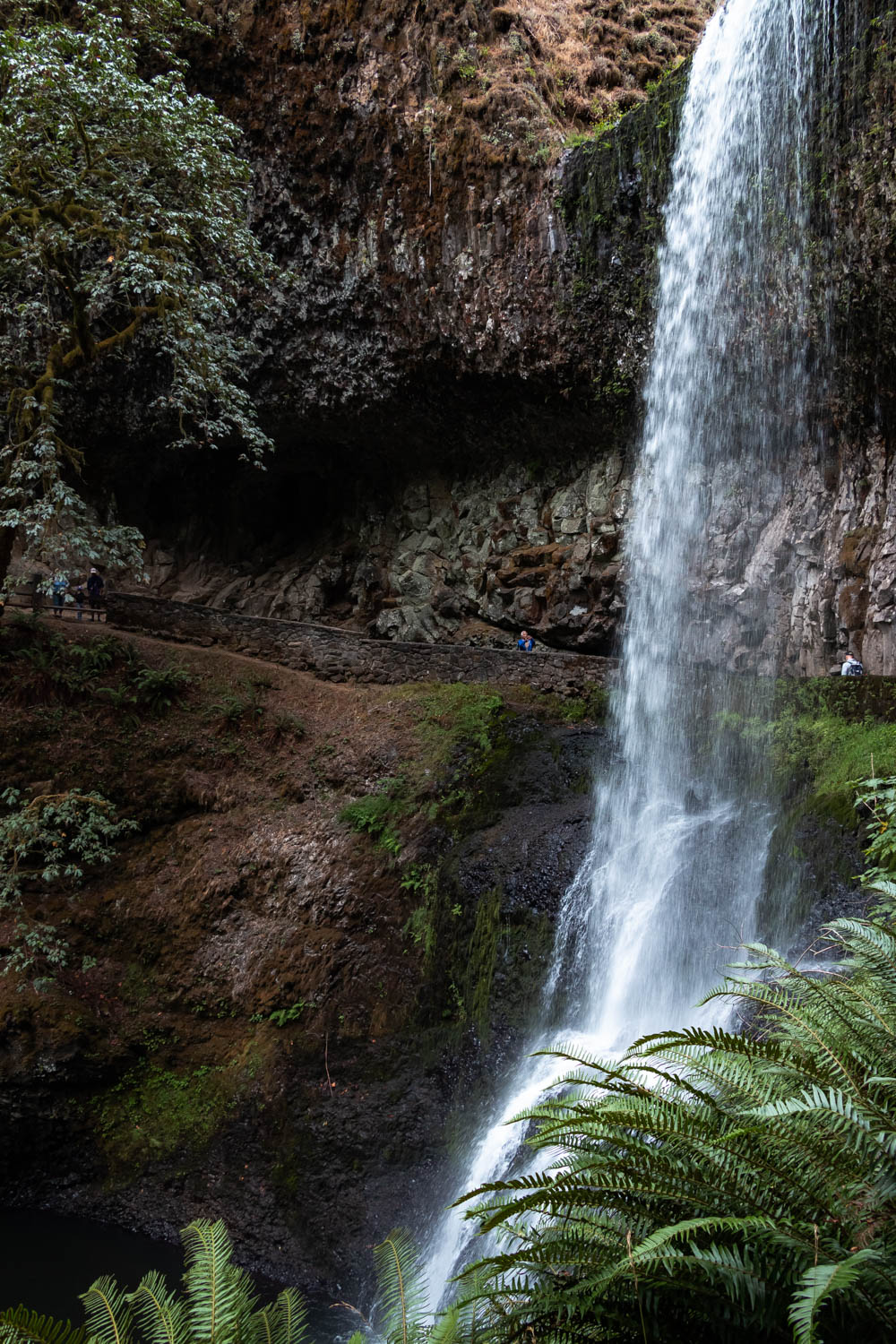 Waterfall hike in Oregon - Roads and Destinations