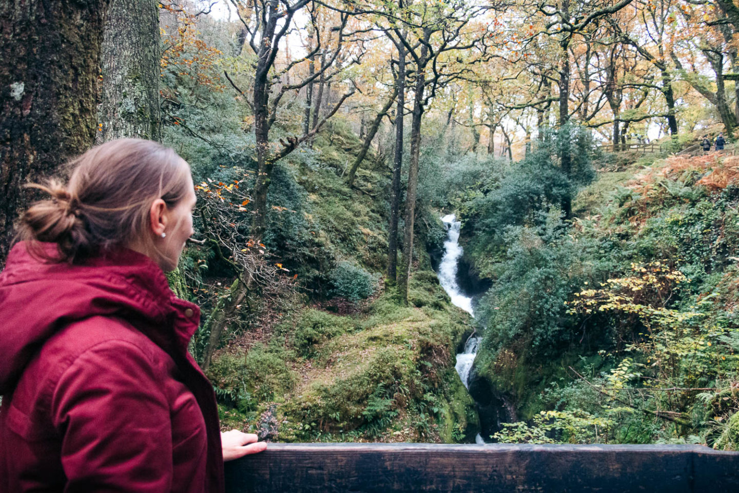 Forty shades of green, Ireland - Roads and Destinations