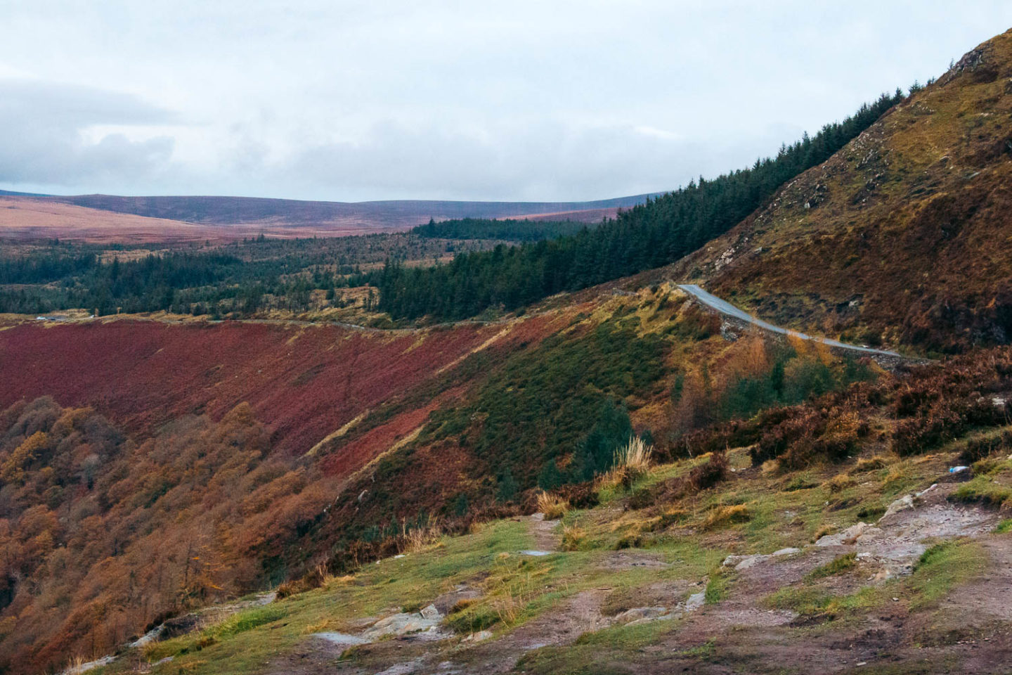 Forty shades of green, Ireland - Roads and Destinations