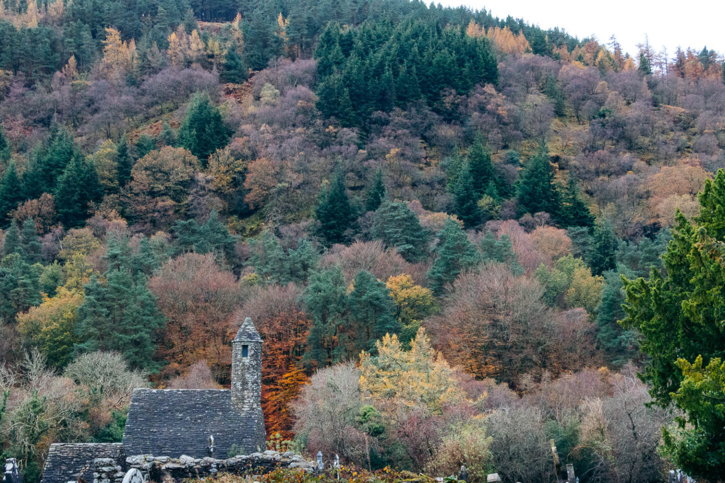 Forty shades of green, Ireland - Roads and Destinations