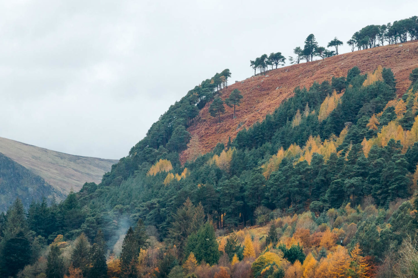 Forty shades of green, Ireland - Roads and Destinations