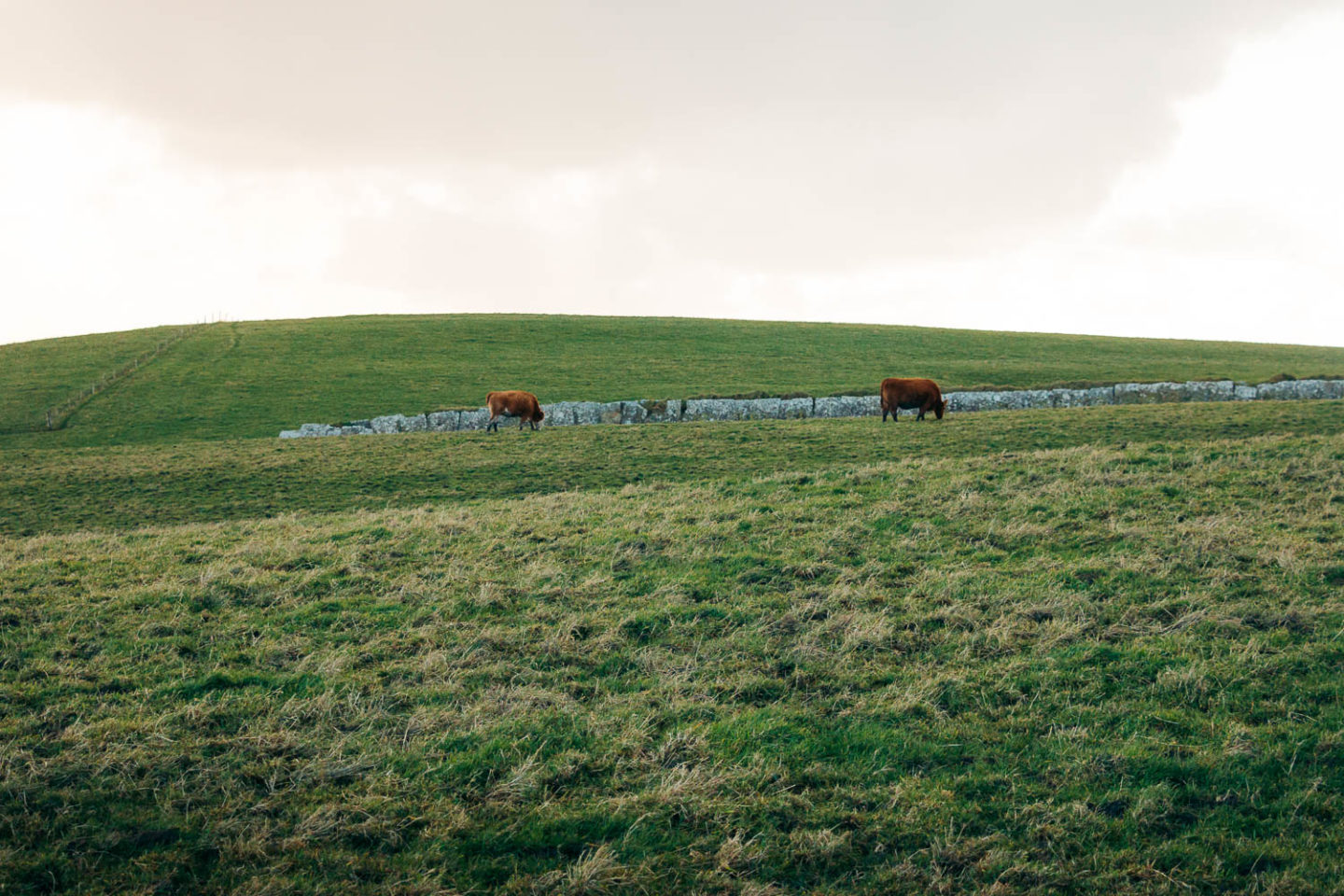 Forty shades of green, Ireland - Roads and Destinations