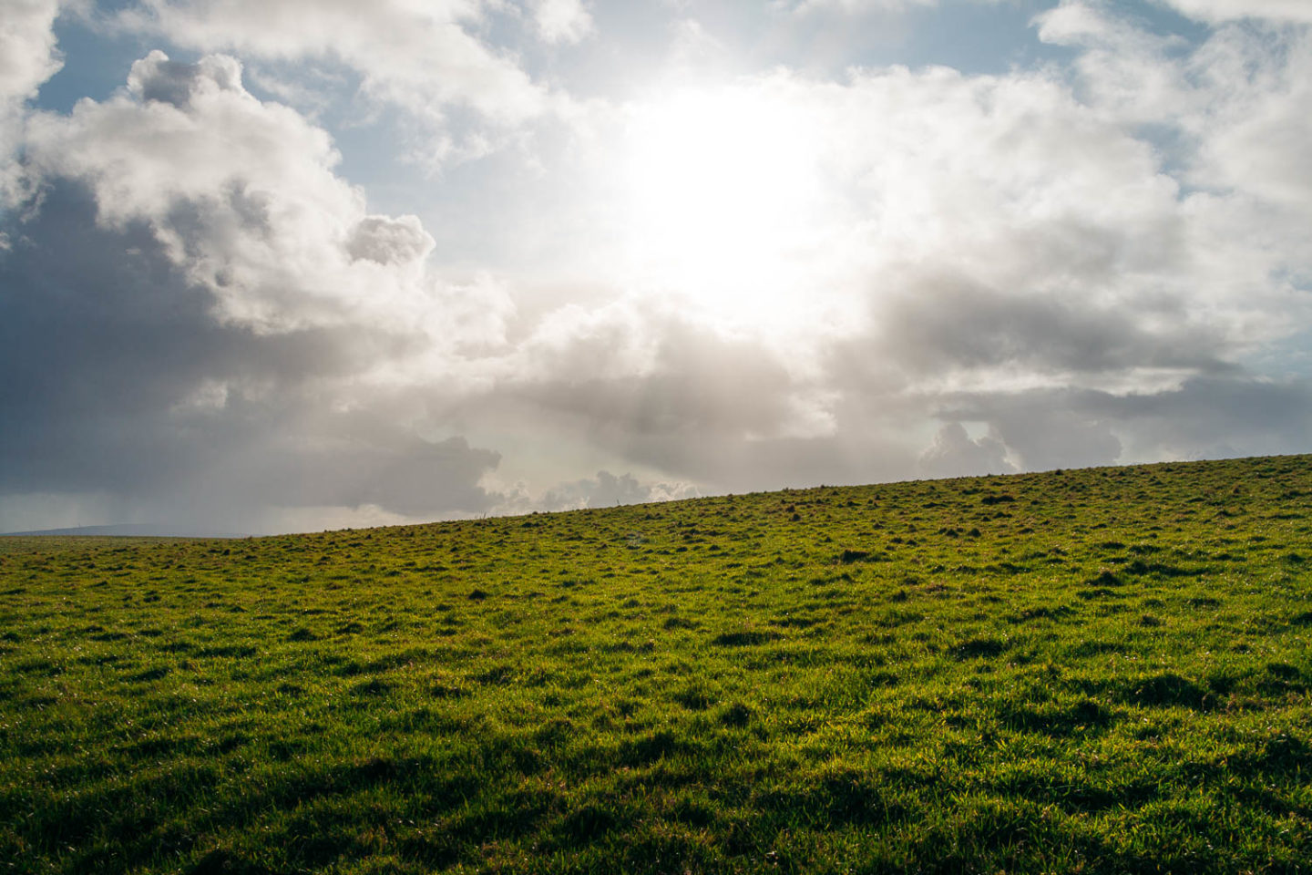 Forty shades of green, Ireland - Roads and Destinations