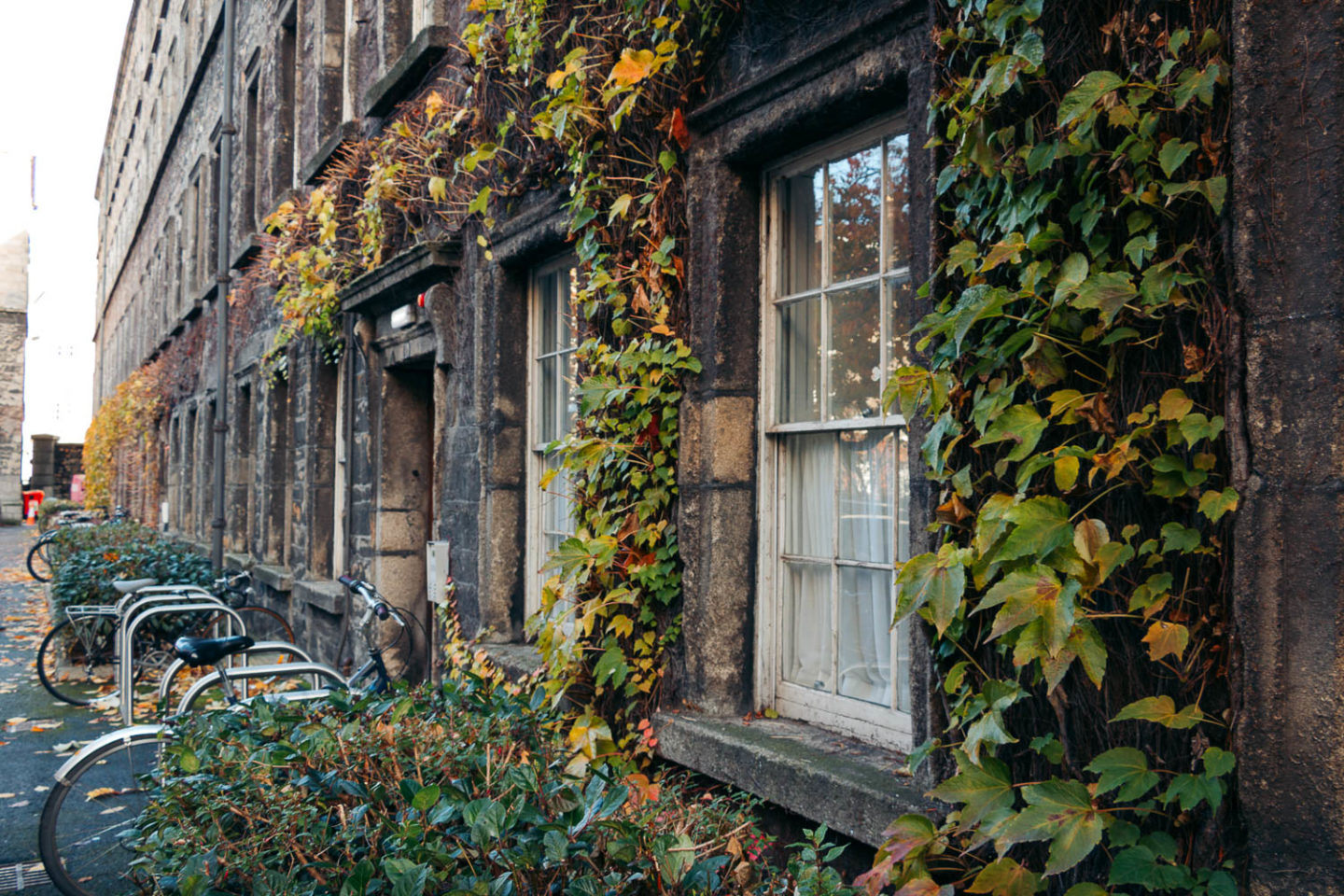 Trinity College Dublin - Roads and Destinations