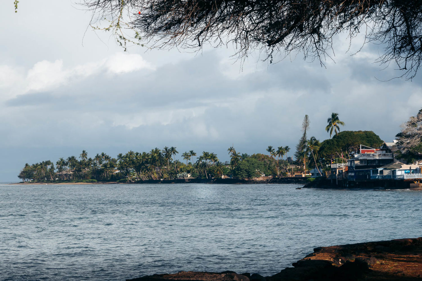 Underwater world of Maui - Roads and Destinations.