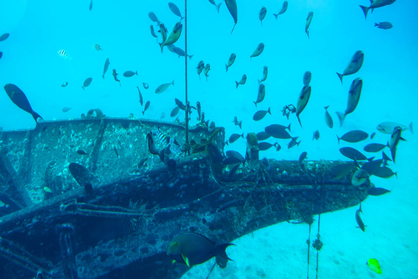 Underwater world of Maui - Roads and Destinations.