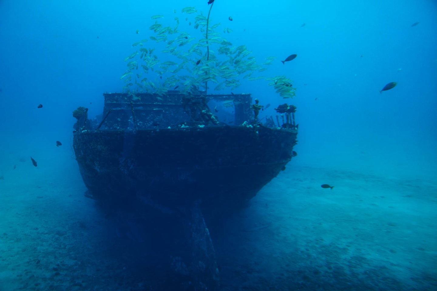 Underwater world of Maui - Roads and Destinations.