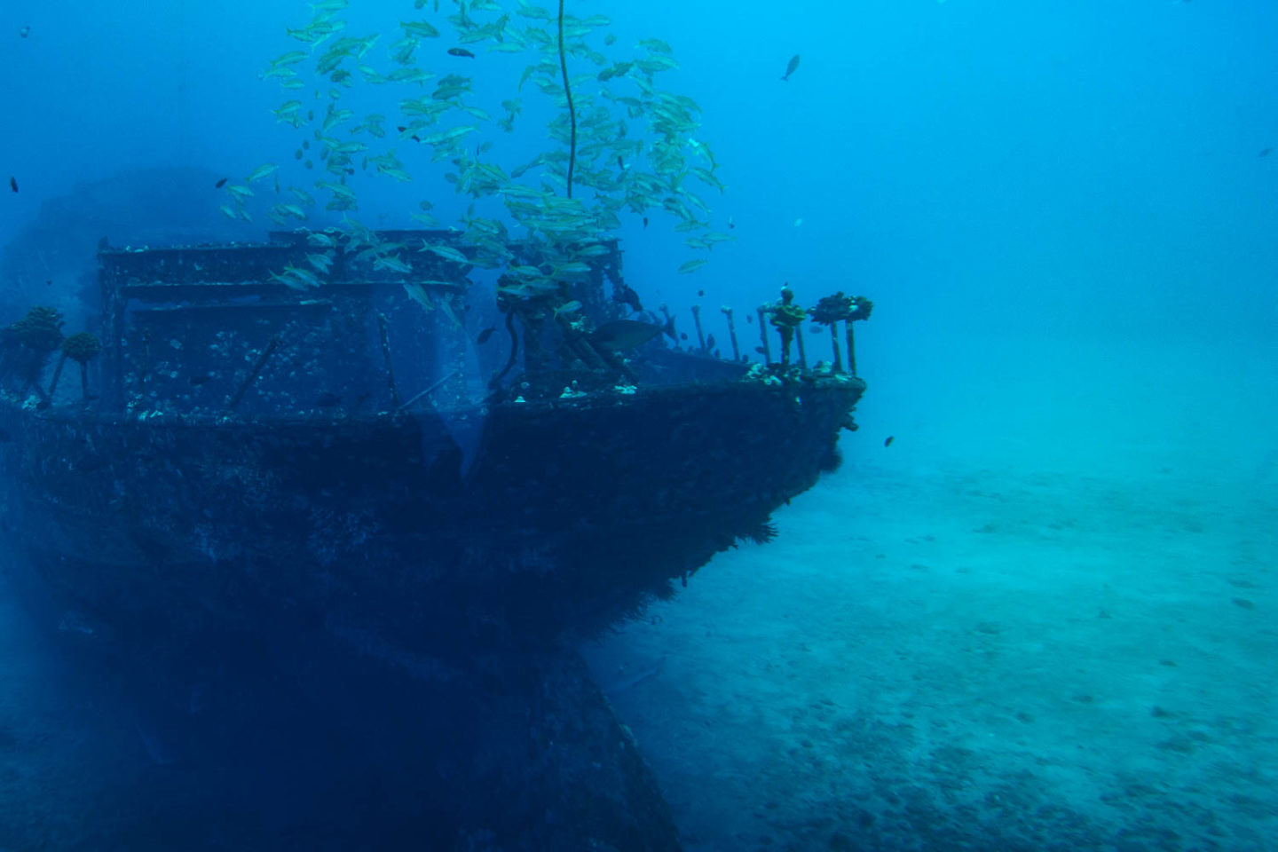 Underwater world of Maui - Roads and Destinations.