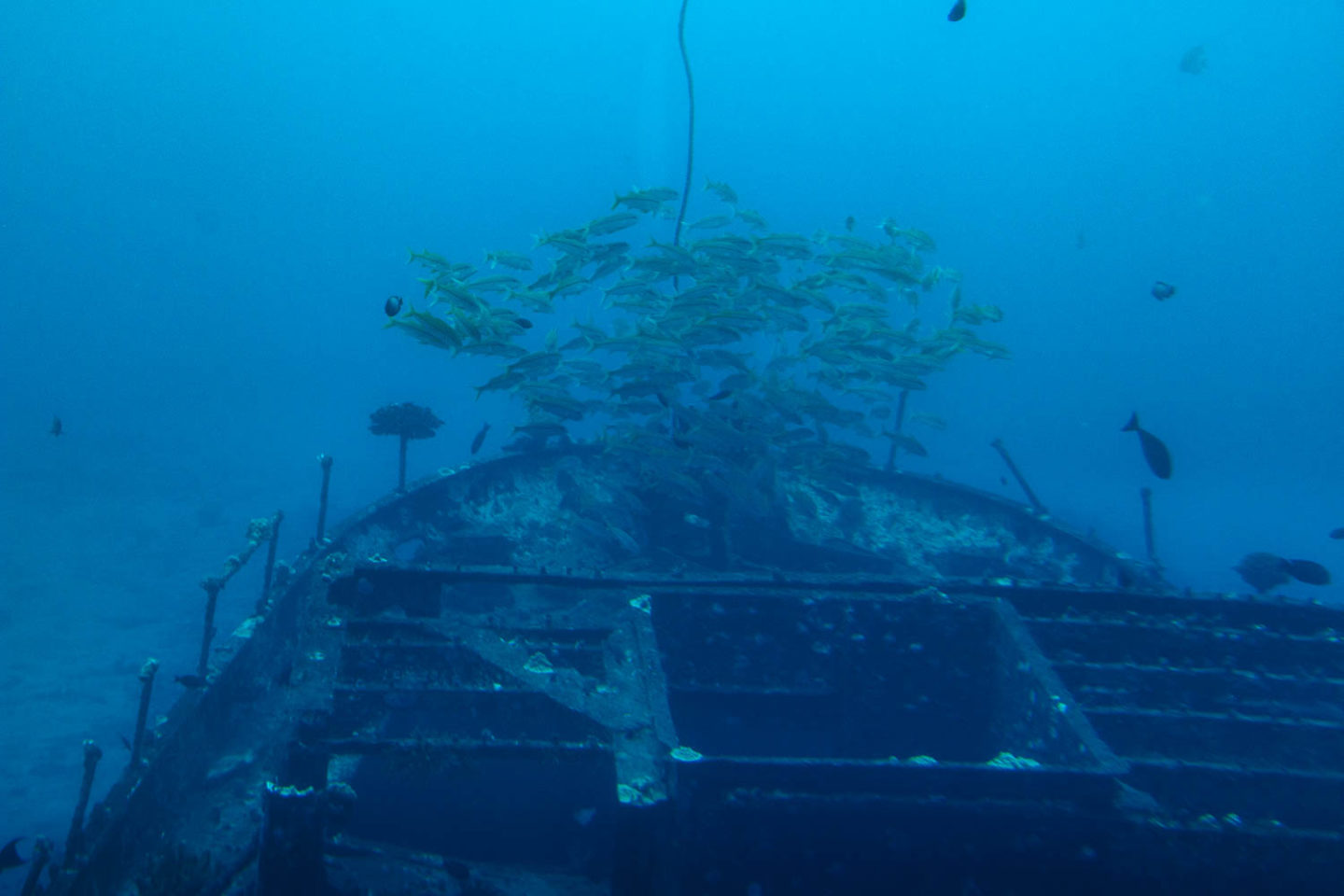 Underwater world of Maui - Roads and Destinations.