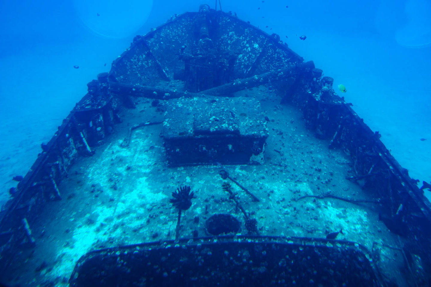 Underwater world of Maui - Roads and Destinations.