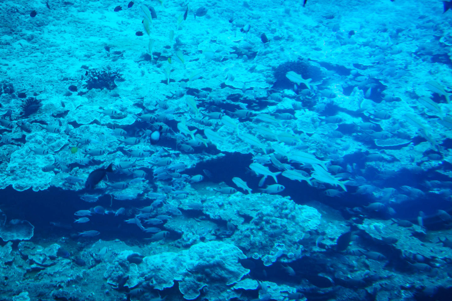 Undersea, Hawaii - Roads and Destinations.