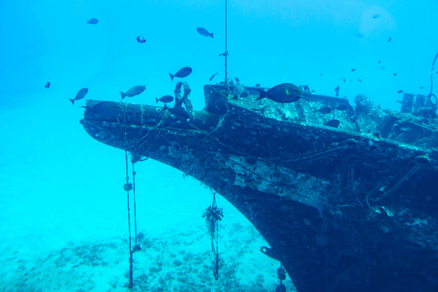 Underwater world of Maui - Roads and Destinations.