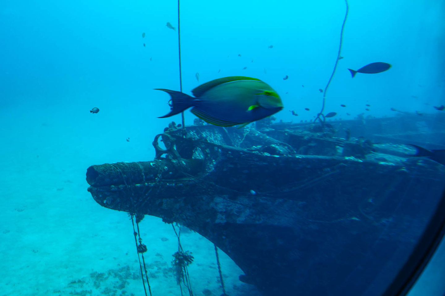 Hawaii submarine tour - Roads and Destinations.