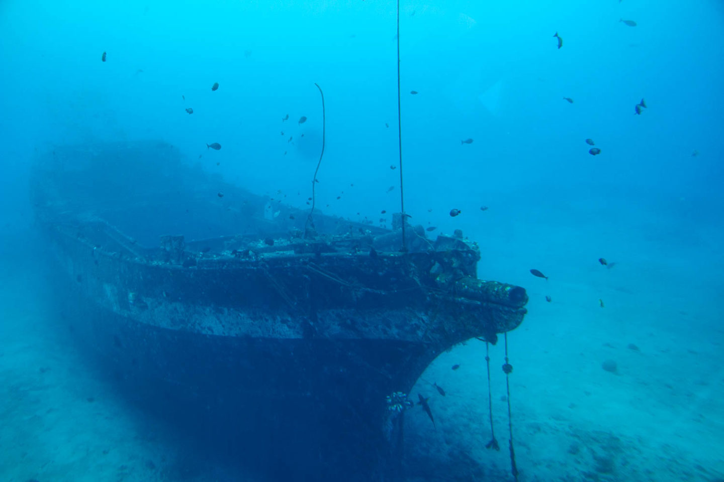 Atlantis Submarine Adventure, Hawaii - Roads and Destinations.