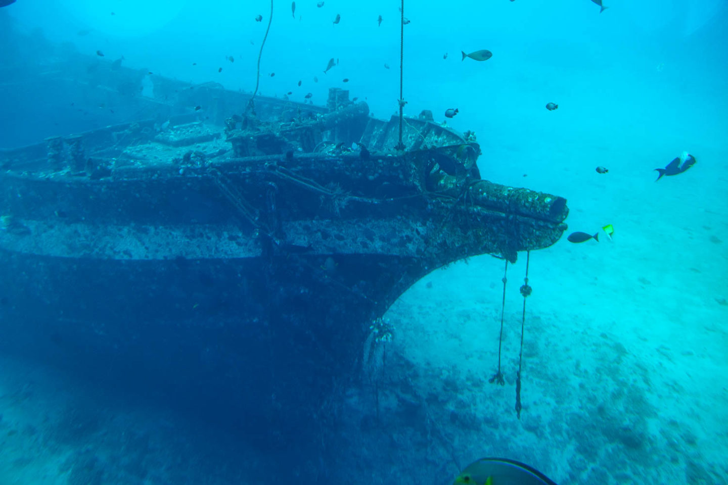 Underwater world of Maui - Roads and Destinations.